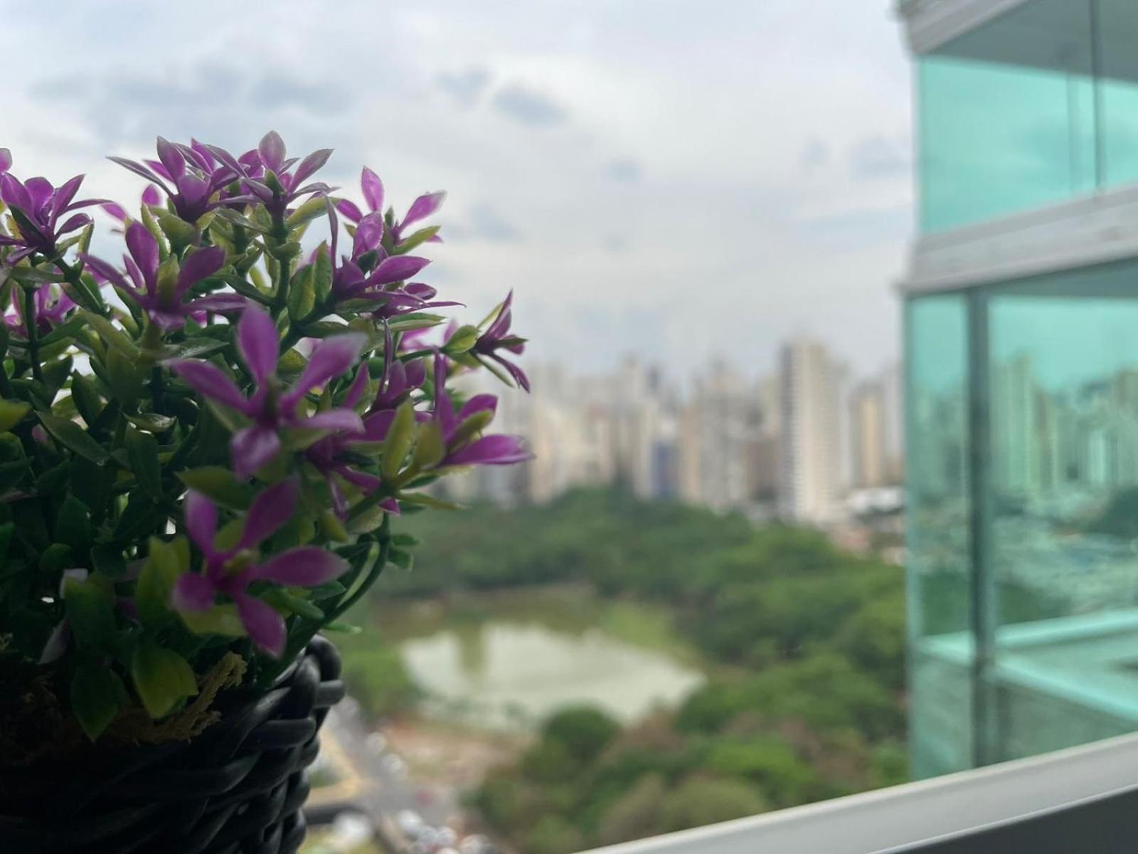 Apartamento Loft - Belissima Vista Vaca Brava